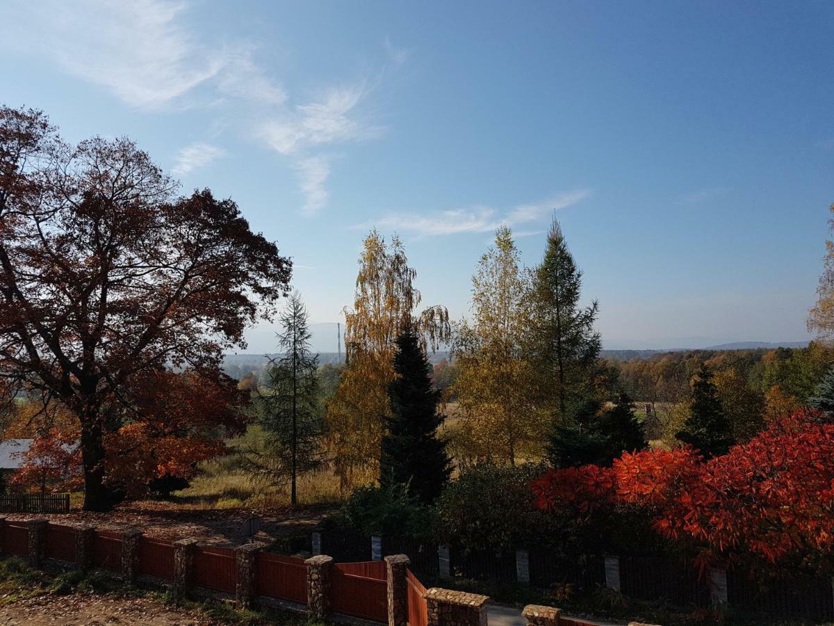 Apartament Sarna Karkonosze Bukowiec  Zewnętrze zdjęcie