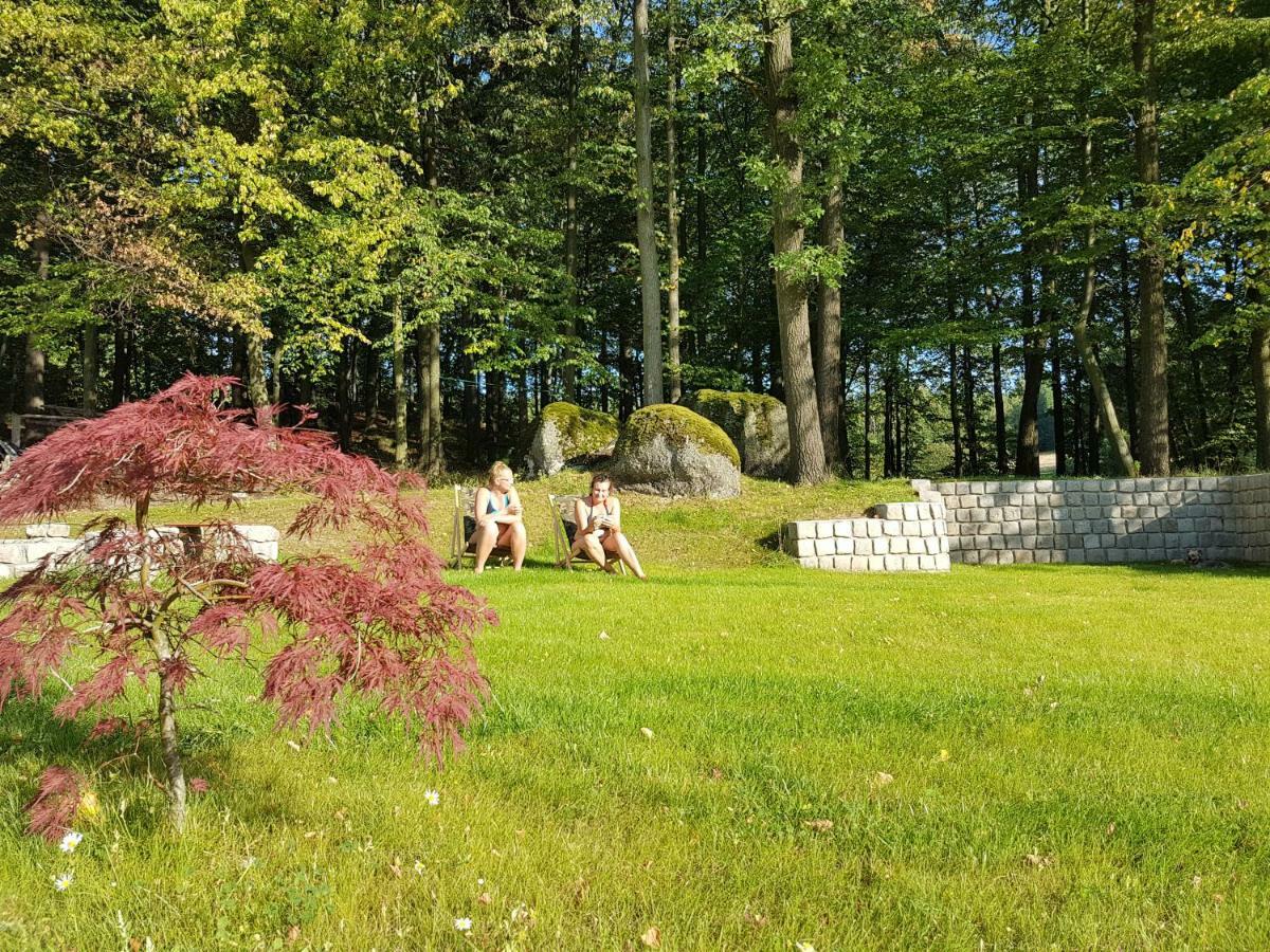 Apartament Sarna Karkonosze Bukowiec  Zewnętrze zdjęcie